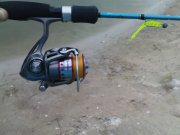 DSC08499.JPG
