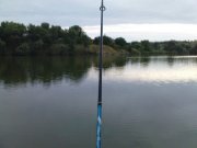 DSC08501.JPG