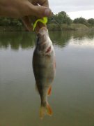 240720131135.jpg