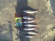 25072013227.jpg