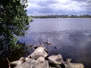 IMG_20130725_101236.jpg
