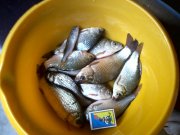 IMG_20130725_115203.jpg