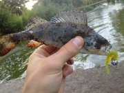 260720131140.jpg