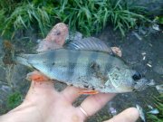 260720131141.jpg
