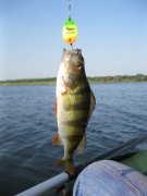 IMG_9753.JPG