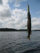 IMG_9762.JPG