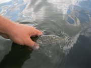 IMG_9767.JPG