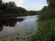 IMG_2283_resize.jpg
