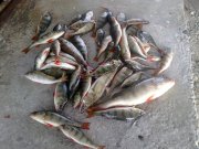 27072013064.jpg