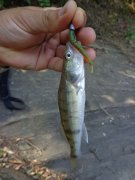 DSC01317.JPG