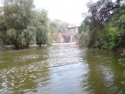 DSC01304.JPG