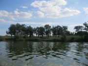 IMG_9833.JPG