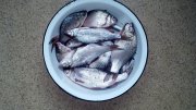 2013-08-02_09-35-43_204.jpg