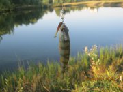 IMG_0650.JPG