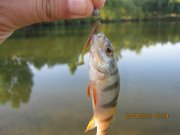 IMG_0651.JPG