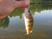IMG_0652.JPG
