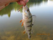 IMG_0654.JPG