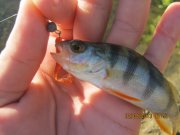 IMG_0655.JPG