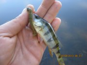IMG_0656.JPG