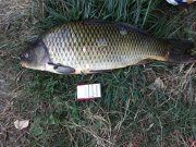 2013-08-04-318.jpg