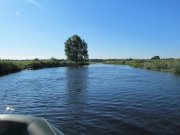 IMG_1177.JPG