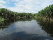 IMG_1192.JPG