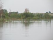 IMG_1224.JPG