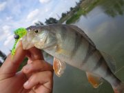 DSC01342.JPG