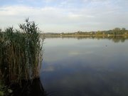 DSC01333.JPG