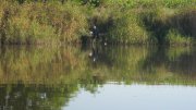 IMG_1735.jpg