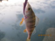 IMG_0669.JPG
