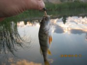 IMG_0670.JPG