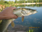 IMG_0672.JPG