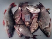 IMG_20130809_1505572118886875.jpg
