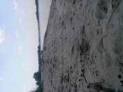 IMG_20130809_115448555100757.jpg