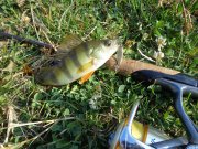 DSC01362.JPG
