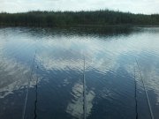 P10-08-13_13.29.jpg