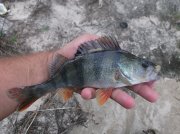 DSCF5975.JPG