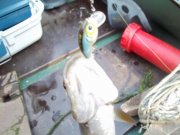 100_3230_res_thumb.jpg