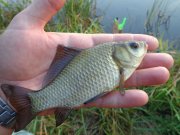 DSC01364.JPG