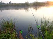 DSC01365.JPG