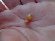 DSC01366.JPG