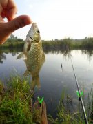DSC01373.JPG