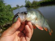 DSC01385.JPG