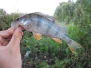 IMG_0784.JPG