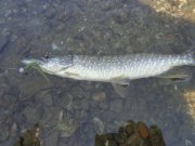 DSC01403.JPG