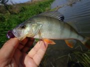 DSC01398.JPG