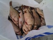 IMG_20130814_153011.jpg