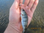 IMG_0682.JPG