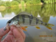 IMG_0683.JPG